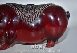 10 China Red Amber Carved 12 Zodiac Year Animal Pig Wealth Statue Sculpture