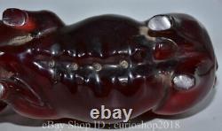 10 China Red Amber Carved 12 Zodiac Year Animal Pig Wealth Statue Sculpture
