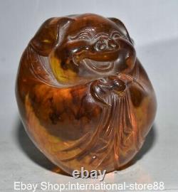 4.8 Old Chinese Red Amber Carving Feng Shui Pig Bat Lucky Sculpture