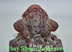 5.4 Rare Chinese Red Amber Carving Feng Shui Wealth Toad Money Luck Sculpture