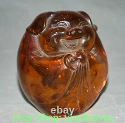 5.6 Old China Red Amber Feng Shui Blessing Pig Luck Sculpture Statue
