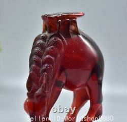 5.6 Old Chinese Red Amber Fengshui 12 Zodiac Year Horse Cicada Statue Sculpture