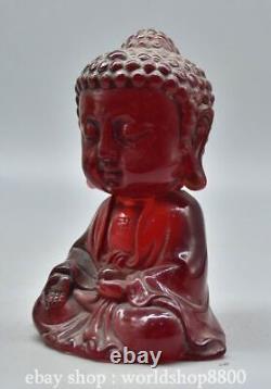 6.4 Old Chinese Red Amber Carved Shakyamuni Amitabha Buddha Statue Sculpture