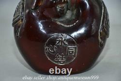 6.4 Rare Chinese Red Amber Carving Feng Shui 2 Pig Love Lucky Sculpture