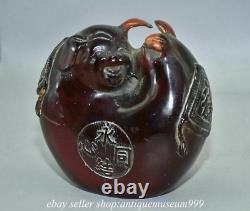 6.4 Rare Chinese Red Amber Carving Feng Shui 2 Pig Love Lucky Sculpture