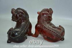 6.4 Rare Chinese Red Amber Carving Feng Shui Foo Dog Lion Beast Sculpture Pair