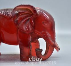 6.8 Ancient Chinese Red Amber Carved Fengshui Animal Elephant Statue Sculpture