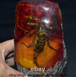 6.8 Old Chinese Red Amber Carved Animal scorpions Decor Statue Sculpture