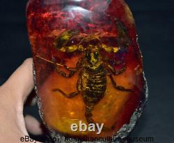 6.8 Old Chinese Red Amber Carved Animal scorpions Decor Statue Sculpture