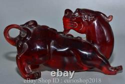 6.8 Old Chinese Red Amber Carved Fengshui Pixiu Beast Wealth Bixie Statue