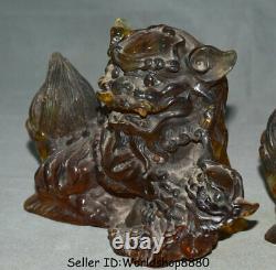 6.8 Old Chinese Red Amber Carving Fengshui Foo Fu Dog Guardion Lion Pair Statue