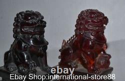 6.8 Rare Old Chinese Red Amber Carving Feng Shui Foo Dog Lion Statue Pair