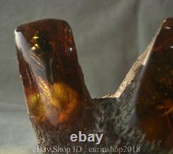 6 Collect Old China Red Amber Carved Animal Cicada Butterfly Decor Statue