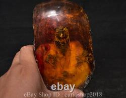 6 Old Chinese Red Amber Carved Insect Cicada Cicala decor Statue Sculpture