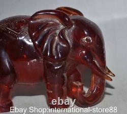6 Old Chinese Red Amber Carving Feng Shui Elephant Ruyi Lucky Sculpture