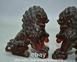 6 Rare Chinese Red Amber Carving Feng Shui Foo Dog Lion Beast Luck Sculpture