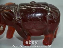 6 Rare Chinese Red Amber Carving Feng Shui Ruyi Elephant Statue Sculpture