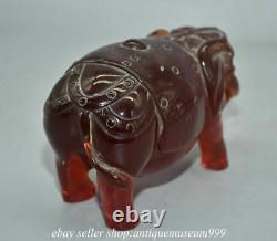 6 Rare Chinese Red Amber Carving Feng Shui Ruyi Elephant Statue Sculpture