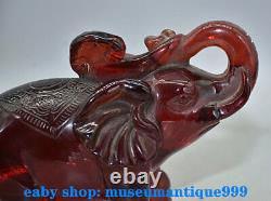 7.2' Ancient Chinese Red Amber Carved Feng Shui Elephant Beast Lucky Sculpture