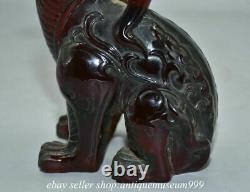 7.2 Rare Chinese Red Amber Carving Feng Shui Pixiu unicorn Dragon Beast Statue