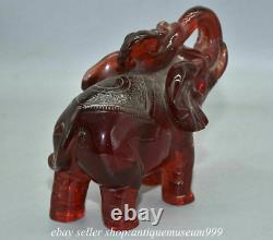 7.2 Rare Chinese Red Amber Carving Feng Shui Ruyi Elephant Luck Sculpture