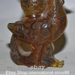 7.2 Rare Old Chinese Red Amber Carving Feng Shui Phoenix God Bird Bottle Vase
