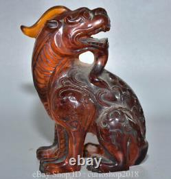 7 China Red Amber Carved Fengshui Animal Pixiu Beast Wealth Bixie Statue
