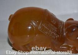 8.4 Old Chinese Red Amber Carving Feng Shui Pig Lucky Sculpture