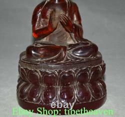 8.4 Old Chinese Red Amber Shakyamuni Amitabha Buddha Sculpture Statue