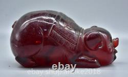 8 Old Chinese Red Amber Carved Fengshui Zodiac Animal Year Pig Statue Sculpture