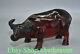 8 Rare Chinese Red Amber Carving Feng Shui Bull Oxen Ox Luck Sculpture