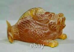 9 China Red Amber Carving Feng Shui Animal Dragon Fish lucky Sculpture