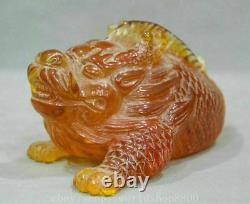 9 China Red Amber Carving Feng Shui Animal Dragon Fish lucky Sculpture