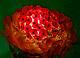 Antique Czech Glass Flower Red Amber Beaded Bulb Cover Lamp Shade Czechoslovakia