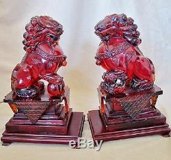 BIG 16 Pair of Vintage Chinese Faux Cherry Amber Resin Foo Dogs on Wood Stands