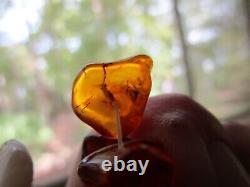 Extra Long Large Amber Necklace Graduated Cognac 34 Antique Amber 114.77 grams