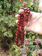 Faturan Antique Germany Veins Amber Bakelite Genuine Cherry Prayer Beads