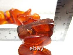 Insect Inclusions Baltic Amber Graduated Cognac Butterscotch Bead Necklace 34