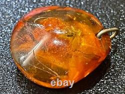 PENDANT Baltic amber fossil insect with inclusion