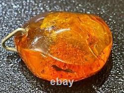 PENDANT Baltic amber fossil insect with inclusion