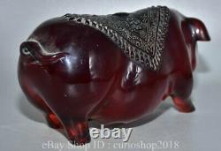 10 Chine Rouge Ambre Sculpté 12 Année Zoodiaque Animal Pig Richesse Statue Sculpture