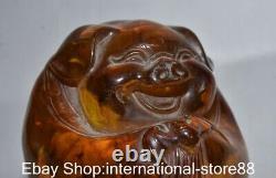 4.8 Vieil Ambre Rouge Chinois Carving Feng Shui Pig Bat Lucky Sculpture
