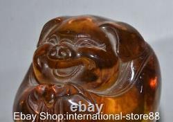 4.8 Vieil Ambre Rouge Chinois Carving Feng Shui Pig Bat Lucky Sculpture