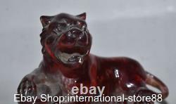 5.6 Ancienne Sculpture Feng Shui en Ambre Rouge Chinois représentant l'Année du Tigre du Zodiaque