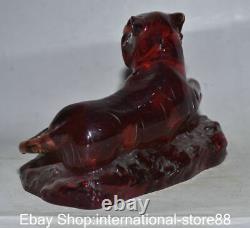 5.6 Ancienne Sculpture Feng Shui en Ambre Rouge Chinois représentant l'Année du Tigre du Zodiaque