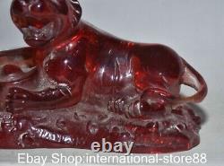 5.6 Vieil Ambre Rouge Chinois Carving Feng Shui Tigre Yuanbao Lucky Sculpture