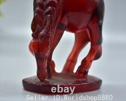 5.6 Vieille statue de cigale cheval chinois rouge en ambre Fengshui des 12 signes du zodiaque
