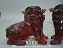 6.4 Rare Paire Chinoise Rouge Ambre Carving Feng Shui Foo Chien Lion Sculpture De Bête