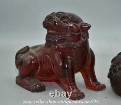 6.4 Rare Paire Chinoise Rouge Ambre Carving Feng Shui Foo Chien Lion Sculpture De Bête