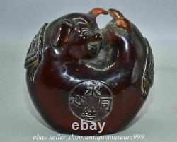 6.4 Rare Rouge Chinois Ambre Carving Feng Shui 2 Pig Love Lucky Sculpture